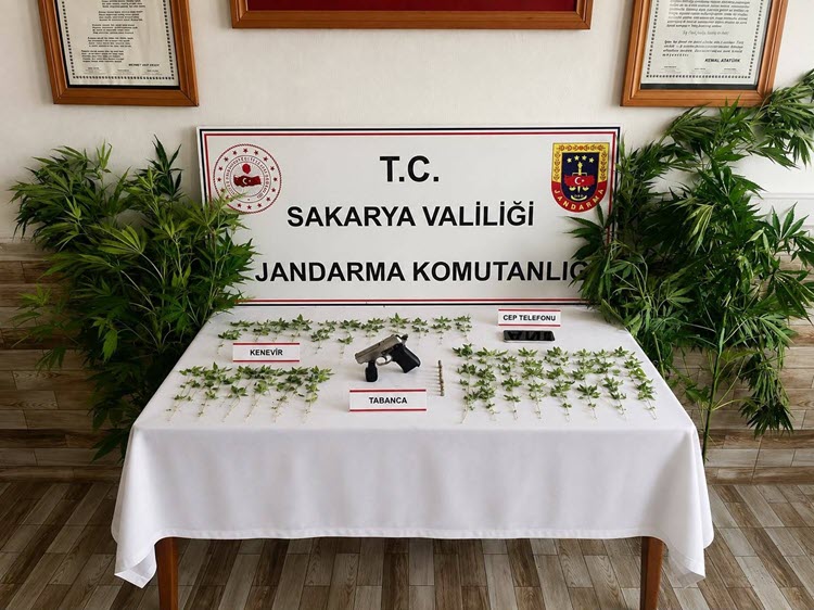 Karasu'da kenevir operasyonu 1 tutuklama