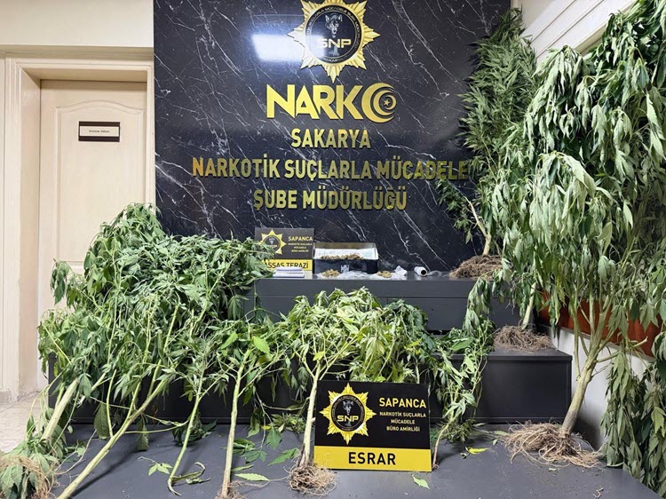 SAPANCA'DA NARKOTİK OPERASYONU 2 GÖZALTI