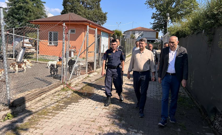 Gökpınar Sokak Hayvanları Geçici Bakımevinde İncelemelerde Bulundu