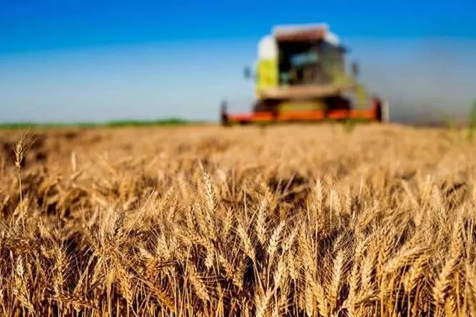 Kırsala 12,5 milyar liralık dev hibe desteği